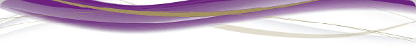 The Audigy Group, LLC (c) 2011; Purple Wave Header